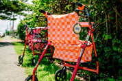 Walker Wardrobe- Tangerine Blush Gingham